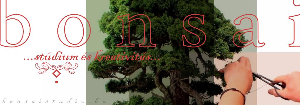 marczika, bonsai, drotozas, atultetes, metszes, alakitas, bonsaj, bonsai cikkek, bonsai informacio, erd, hungary bonsai fa alakitasa a marczika bonsai studioban metszes drotozas es alakitas